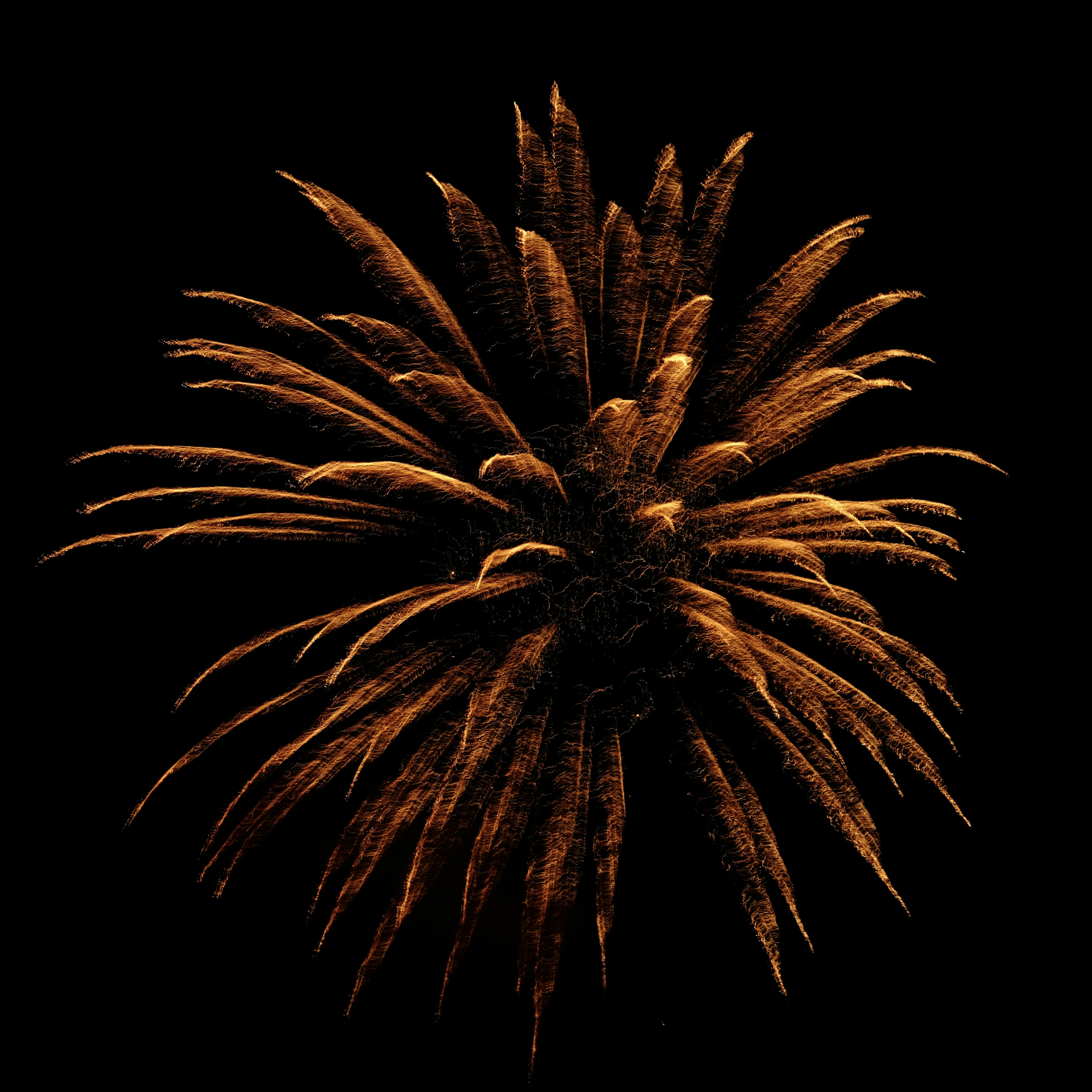 A large fireworks is lit up in the night sky photo – Free 花火 Image on ...