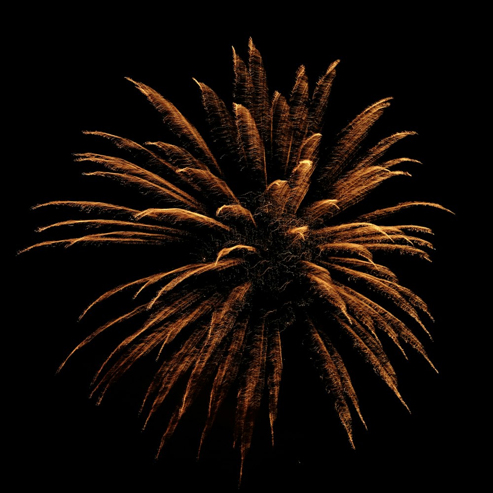 a large fireworks is lit up in the night sky