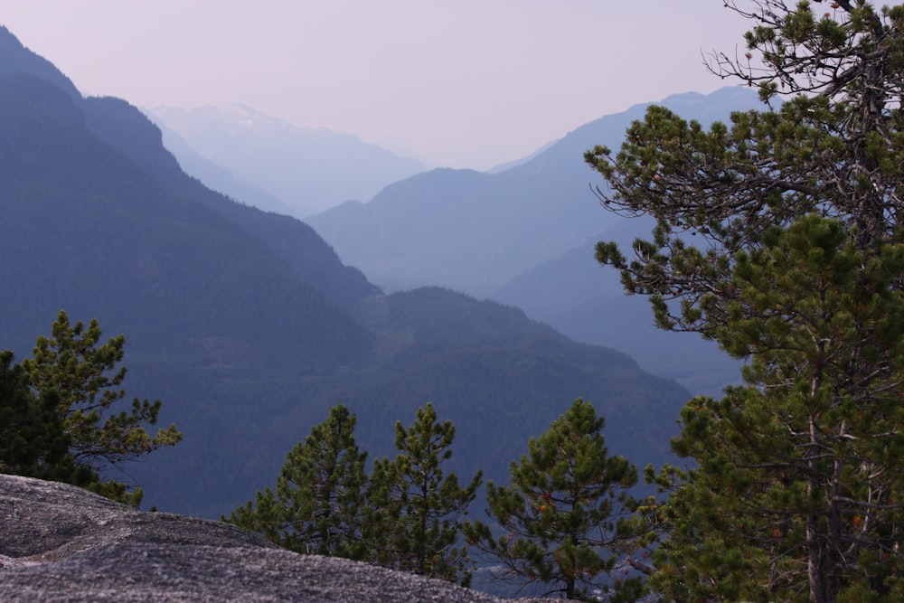 Una vista de una cadena montañosa con árboles y montañas al fondo