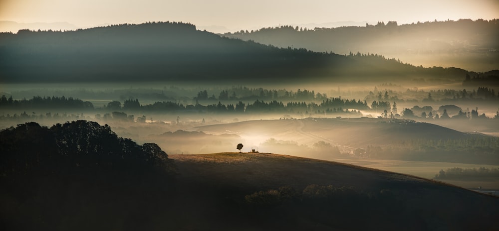 una persona in piedi sulla cima di una collina vicino a una foresta