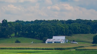 A rustic farm landscape with lush green fields and a barn.