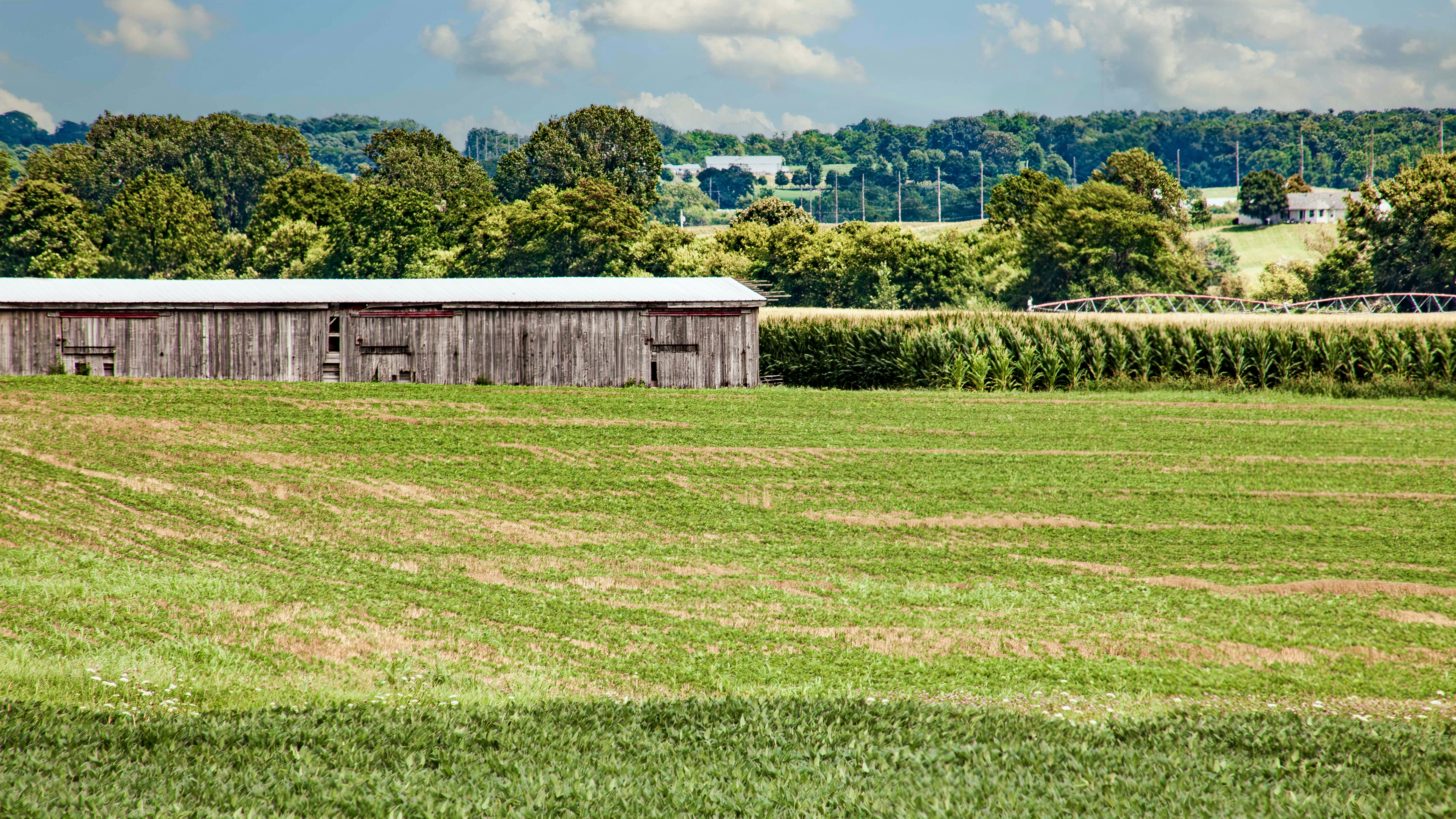 A barn in the middle of a green field photo Free Champaign county Image on Unsplash