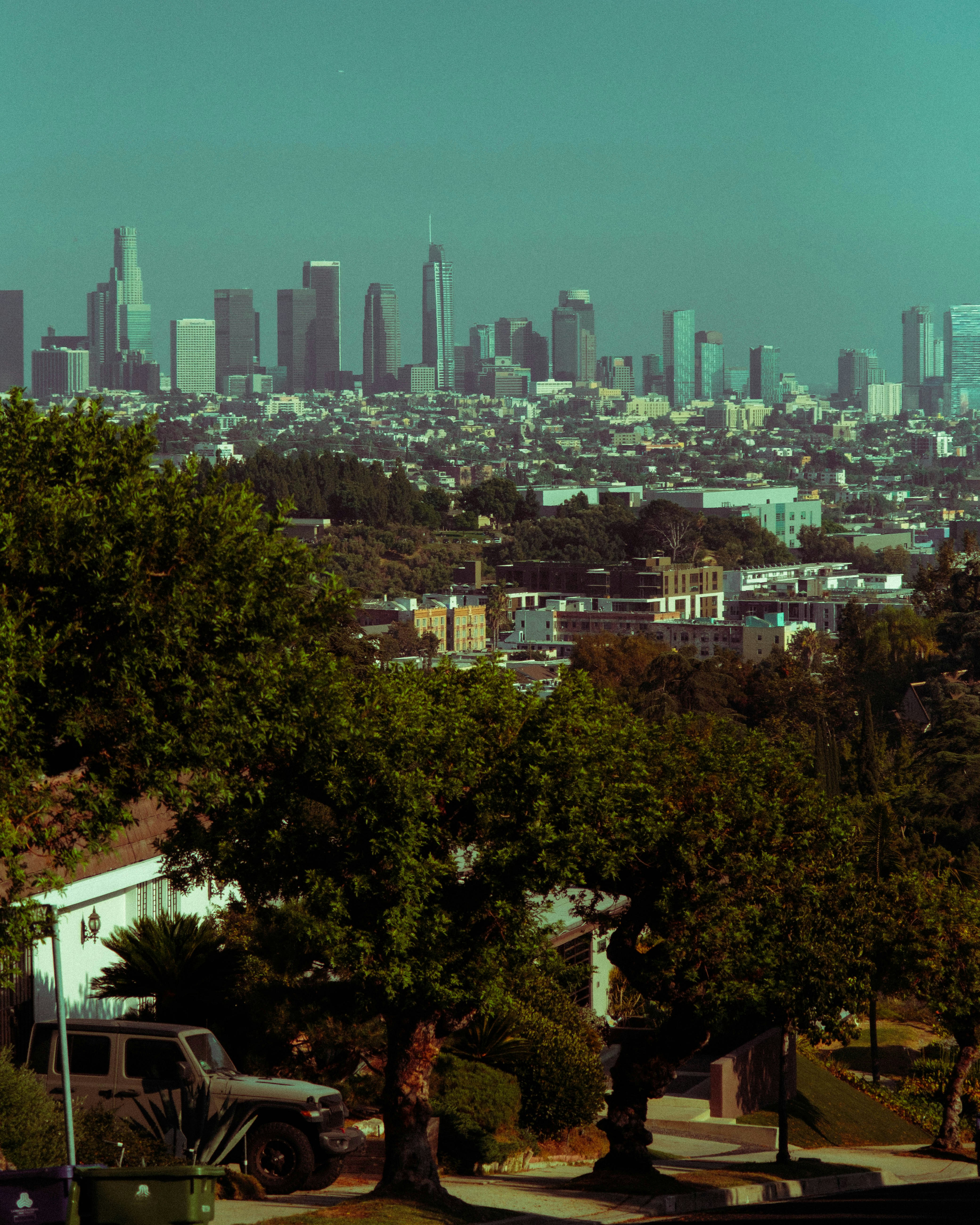 Photo by mattxfotographs