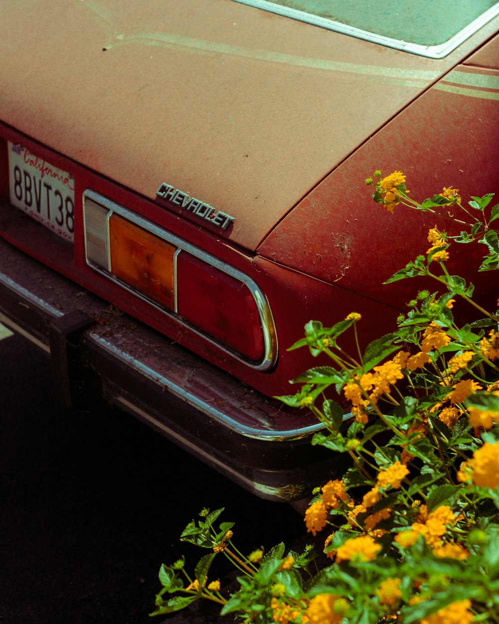 a red car parked next to a bush of yellow flowers