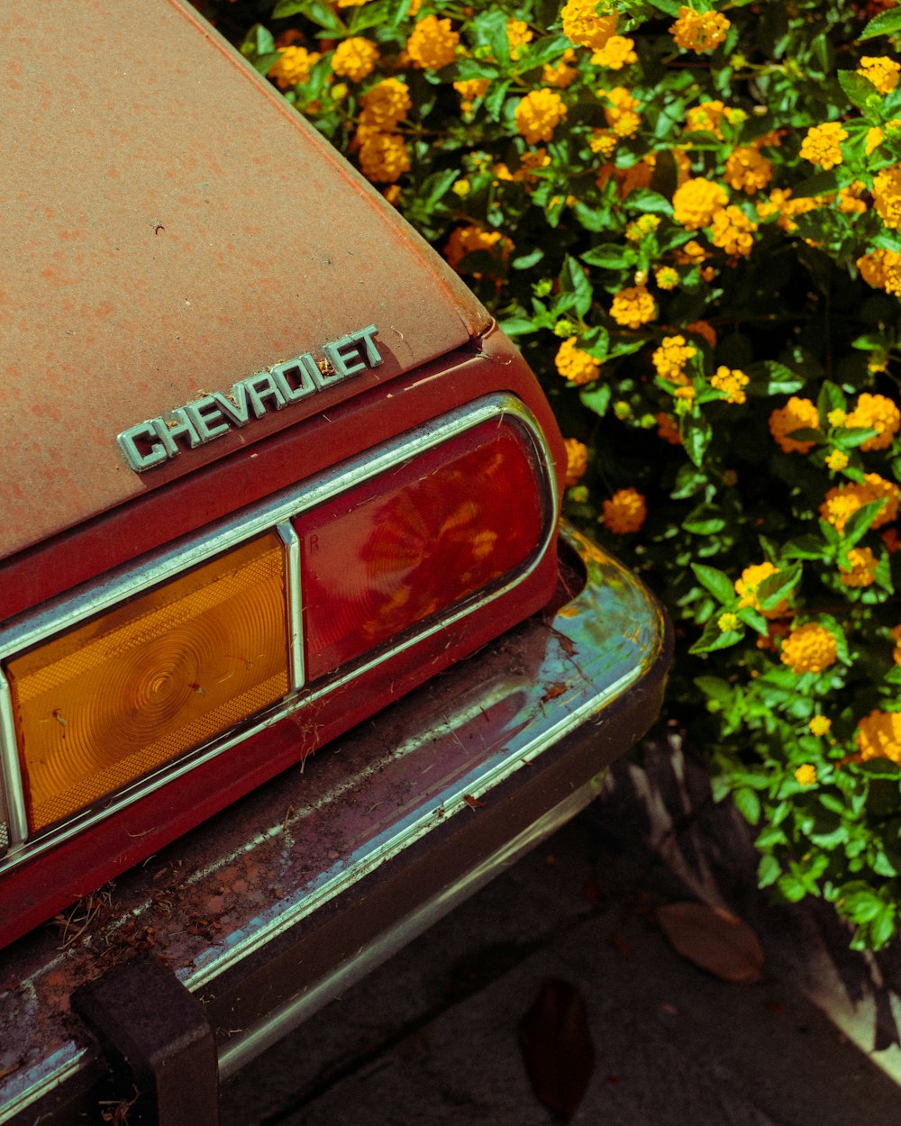 a rusted out car parked next to a bush of yellow flowers