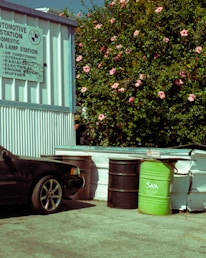 An automotive station with a corrugated metal wall featuring a sign for various car services. A black car is partially visible, parked near several large barrels, one of which is green with 'SAM' written on it. In the background, a lush bush is adorned with numerous pink flowers.