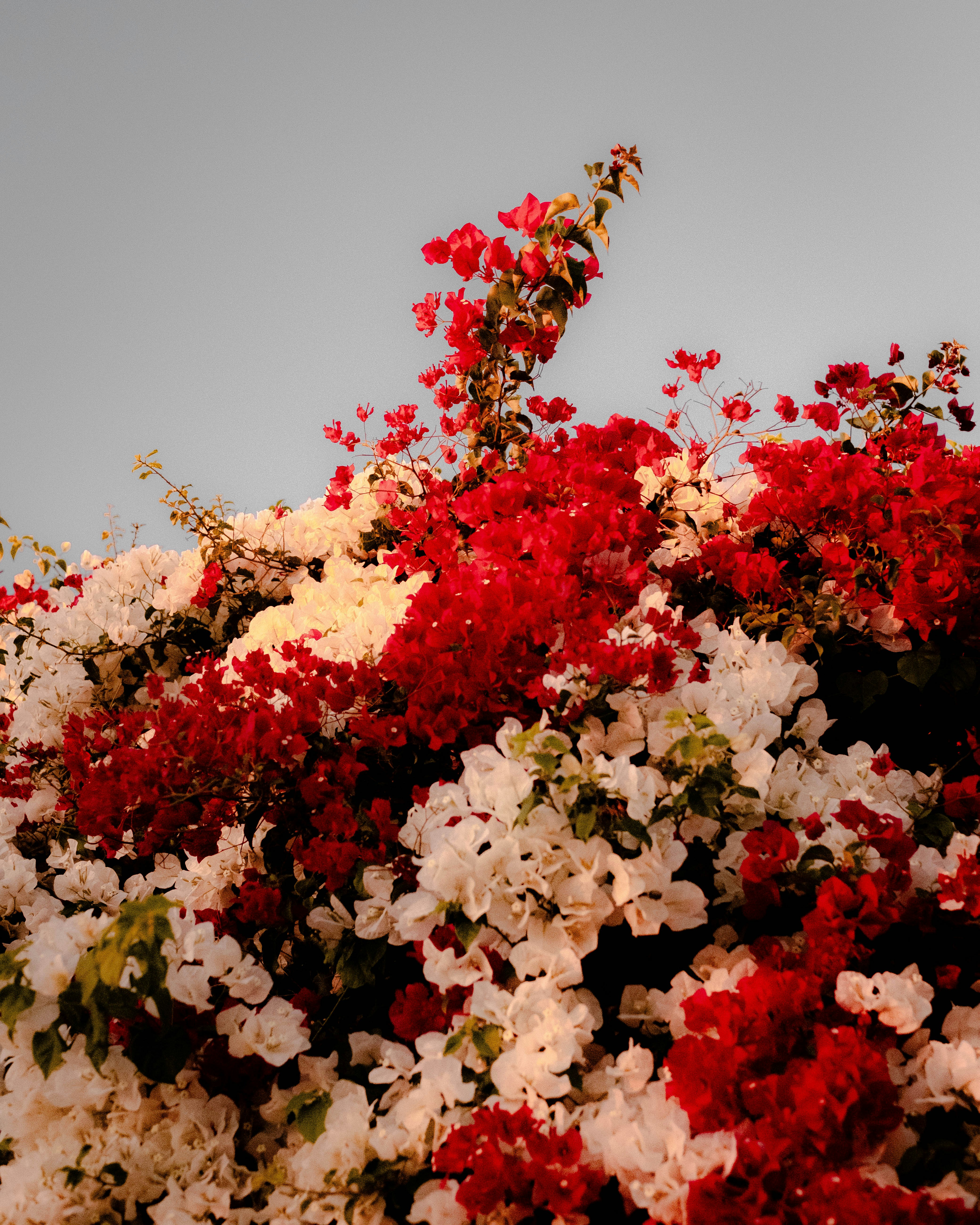 Photo by mattxfotographs