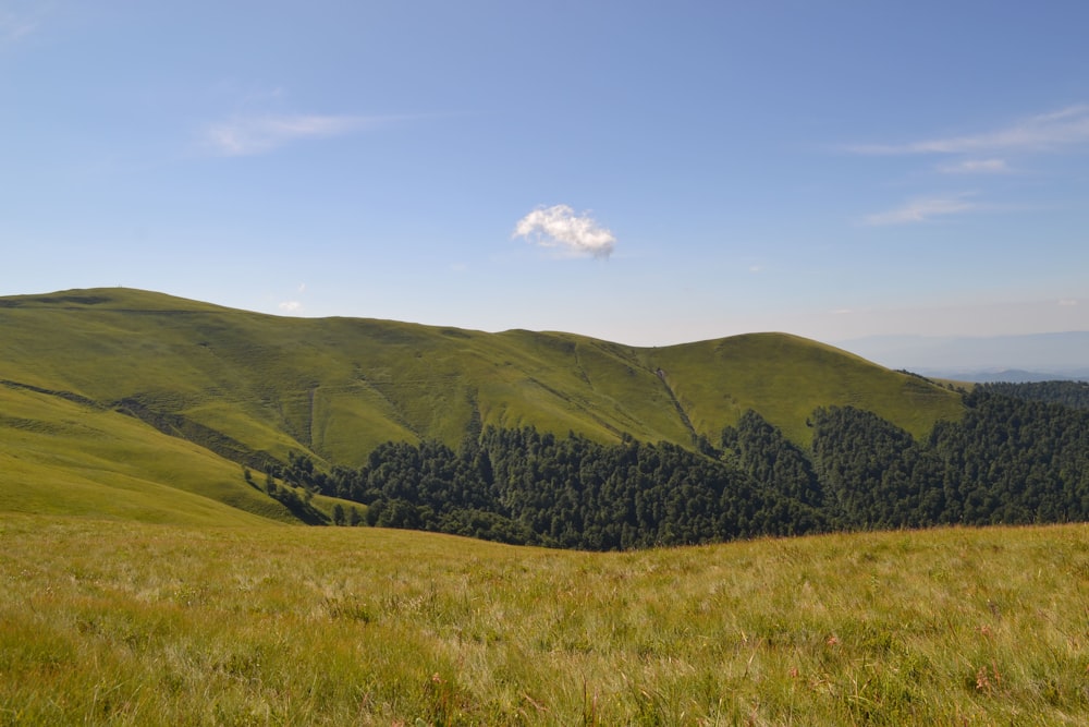 a grassy field with mountains in the background