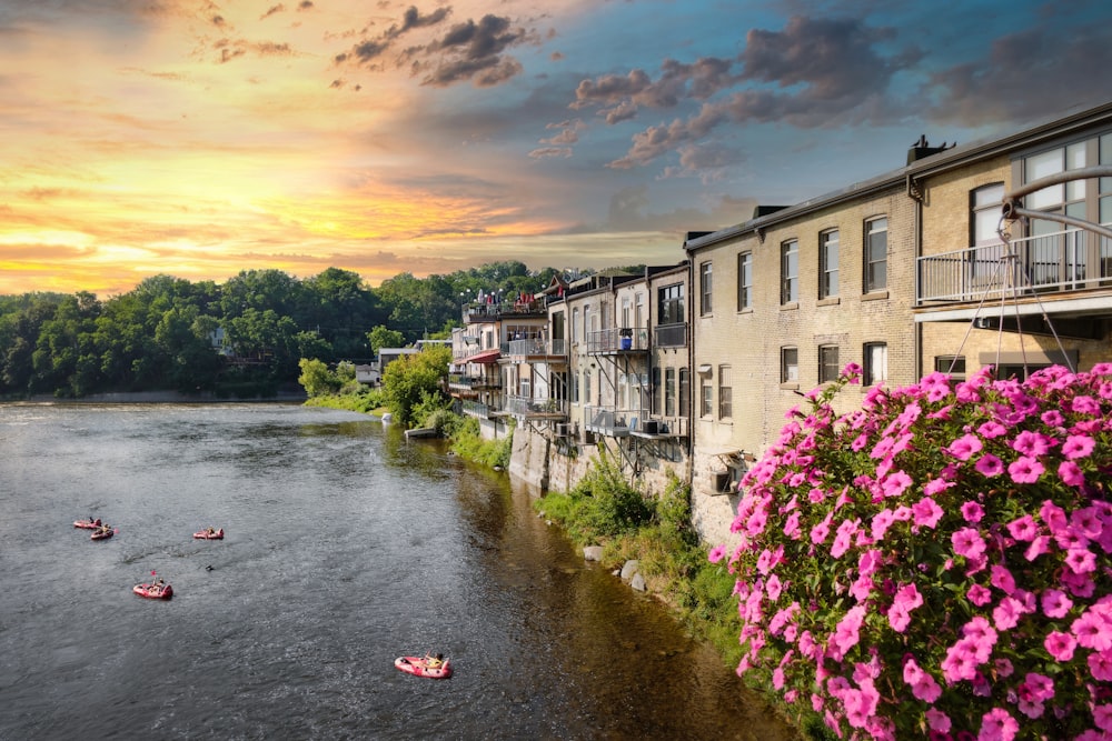 a river that has some pink flowers in it