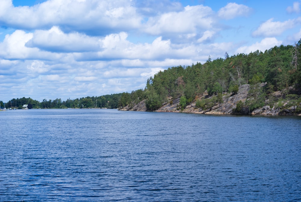 a large body of water surrounded by trees