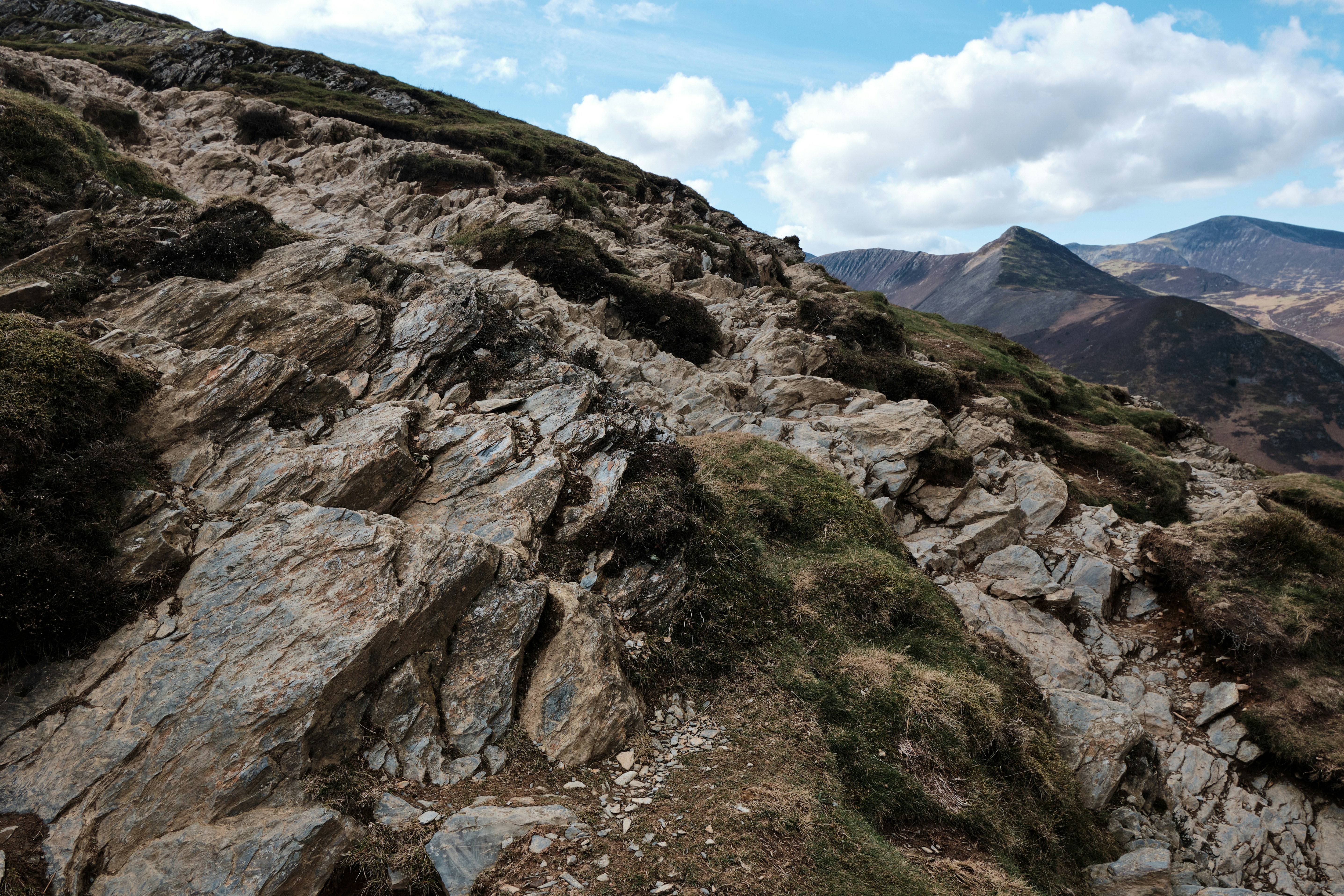 Photo by frostroomhead