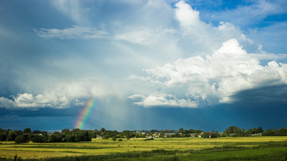 a rainbow appears in the sky over a green field