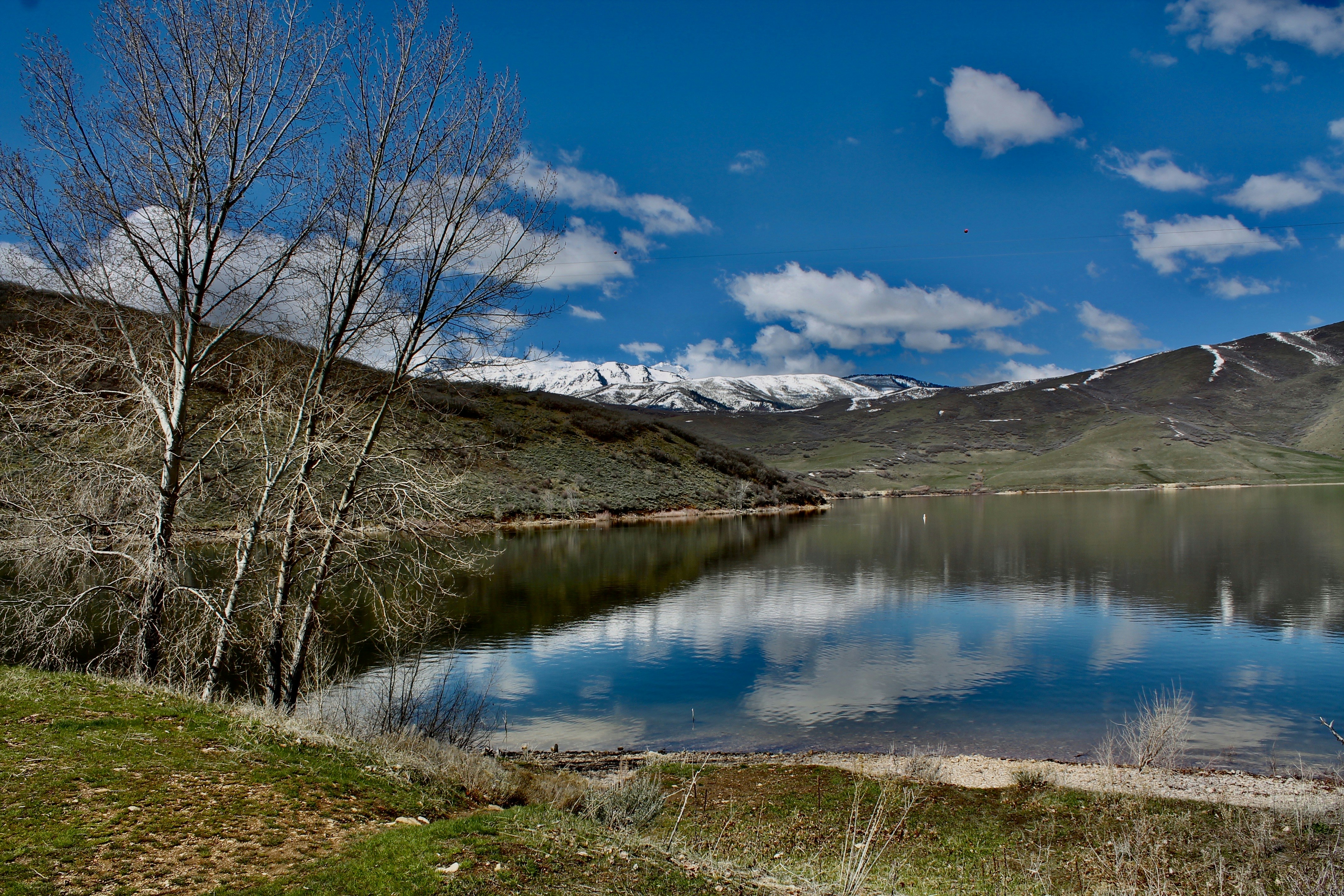 Photo by palmspringsdon