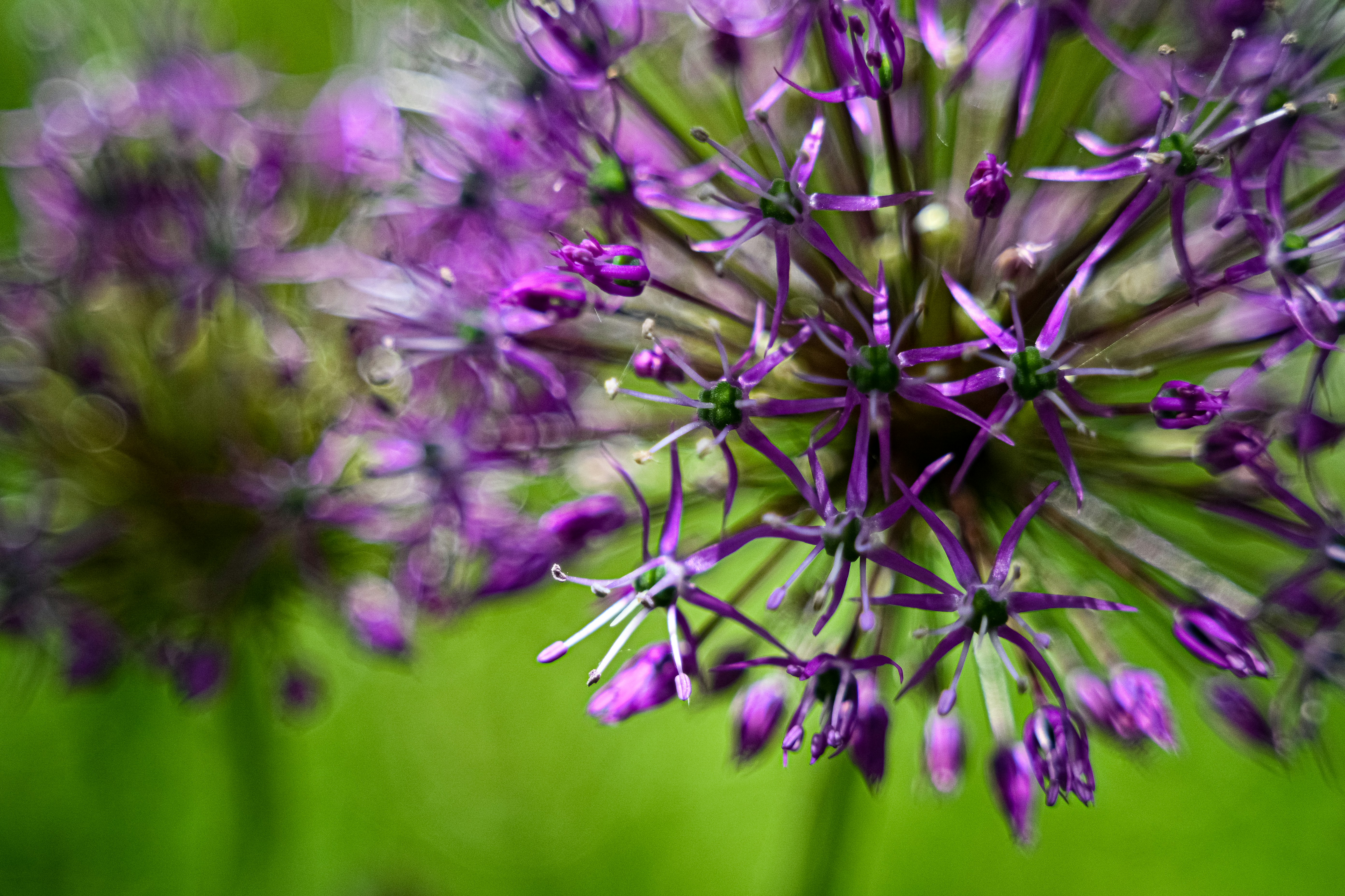 Photo by lucia_sorrentino