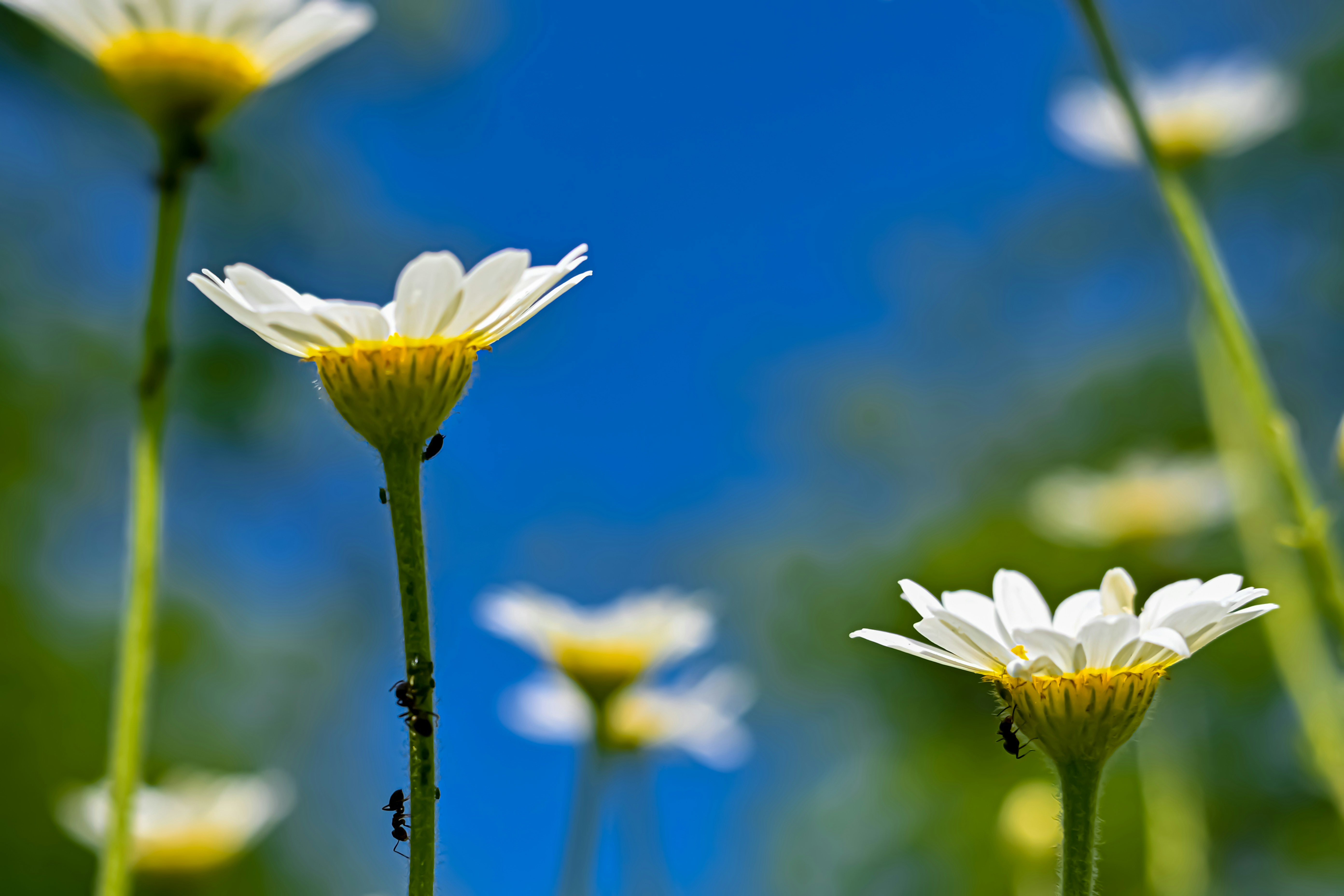 Photo by lucia_sorrentino