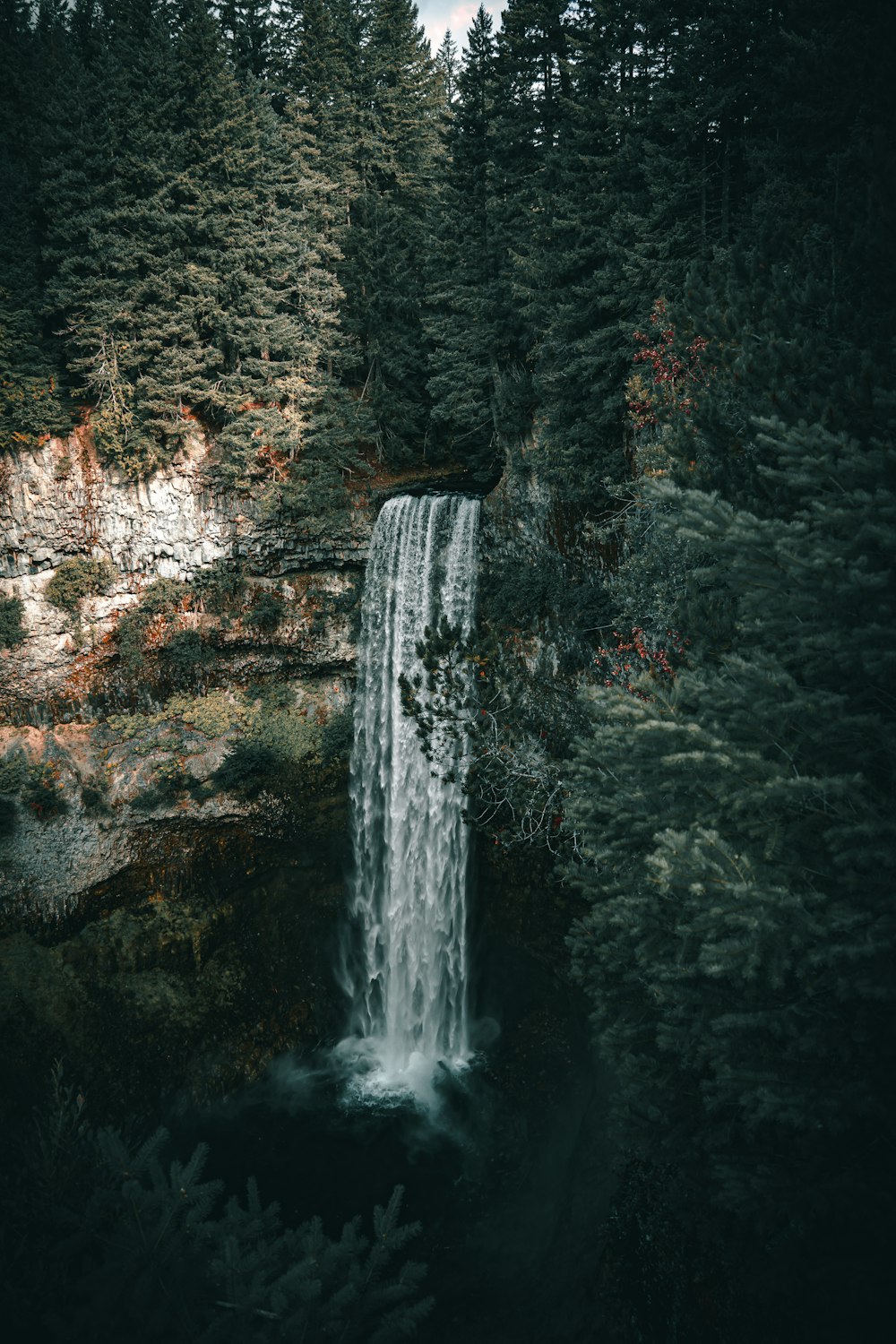 a waterfall in the middle of a forest