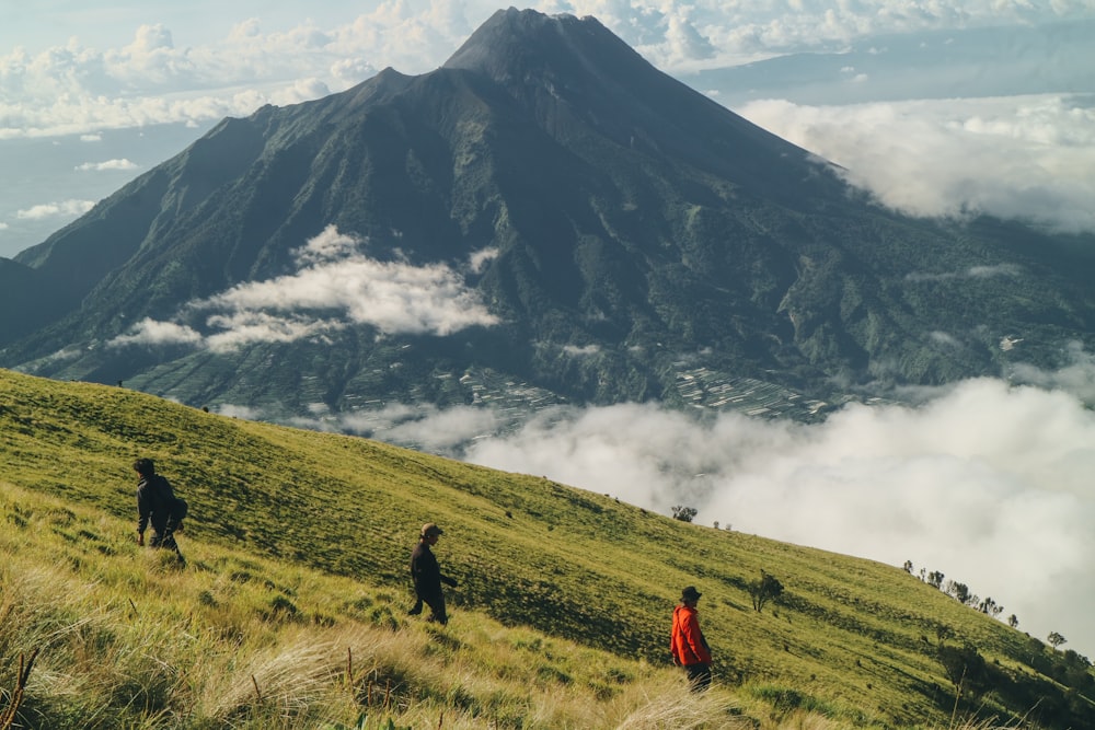 a group of people hiking up a grassy hill