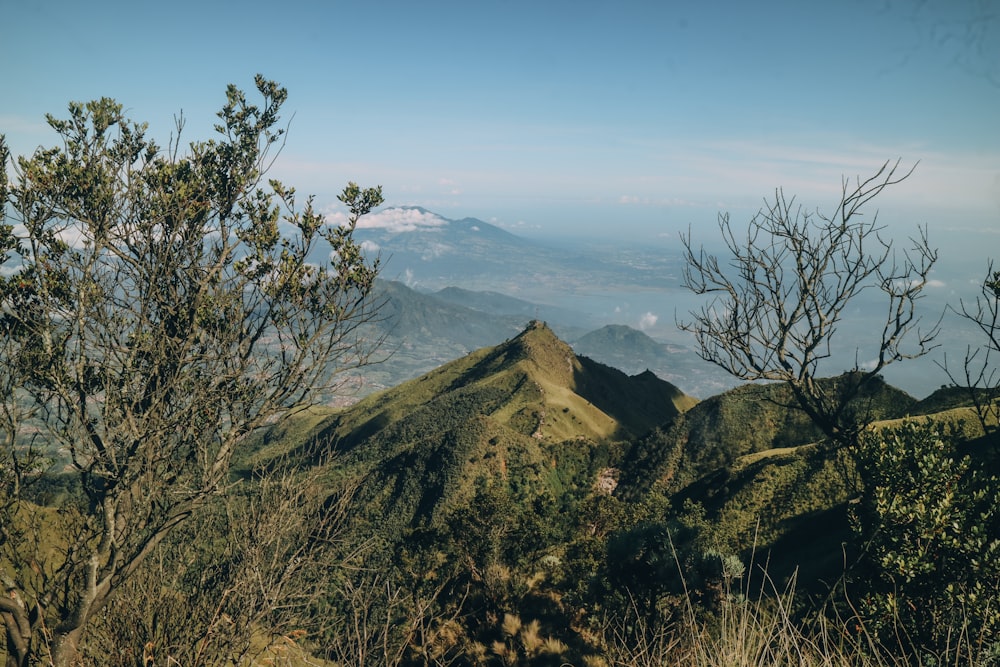 a view of a mountain range with trees and mountains in the background