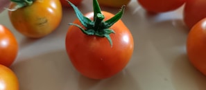 A close-up of ripe tomatoes and cucumbers on a wooden table.