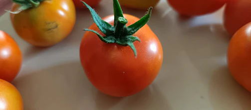 Close-up of ripe tomatoes and fresh herbs styled for a food market social media post.