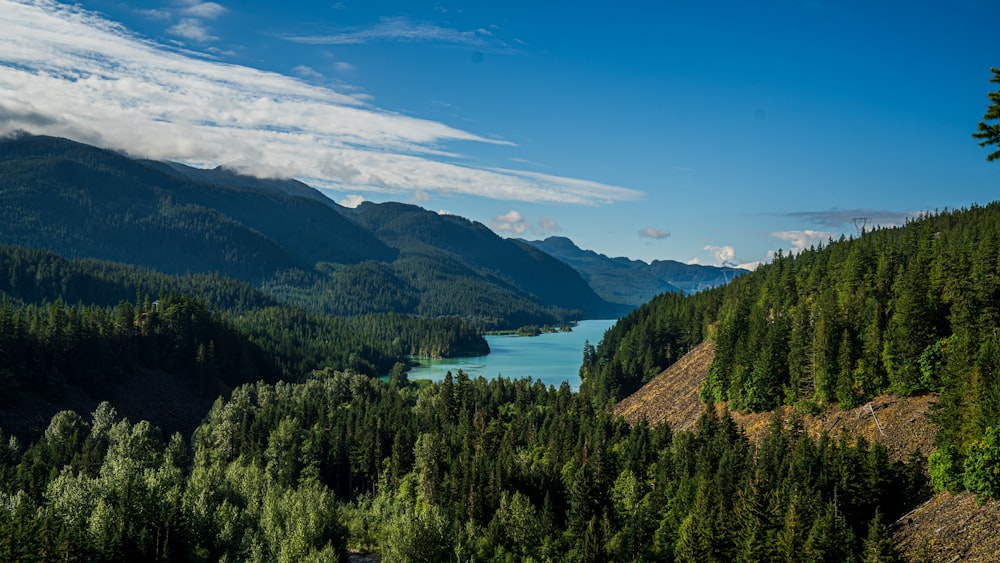 a scenic view of a lake surrounded by trees