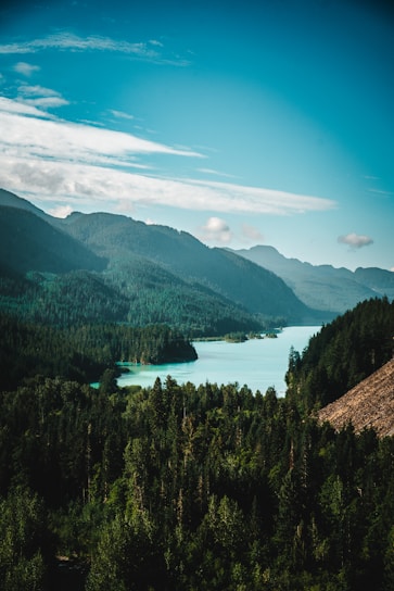 A serene landscape of the Pacific Northwest, symbolizing clarity and insight.