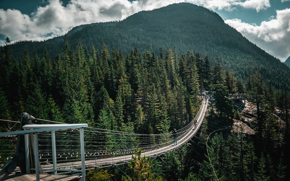 a suspension bridge in the middle of a forest