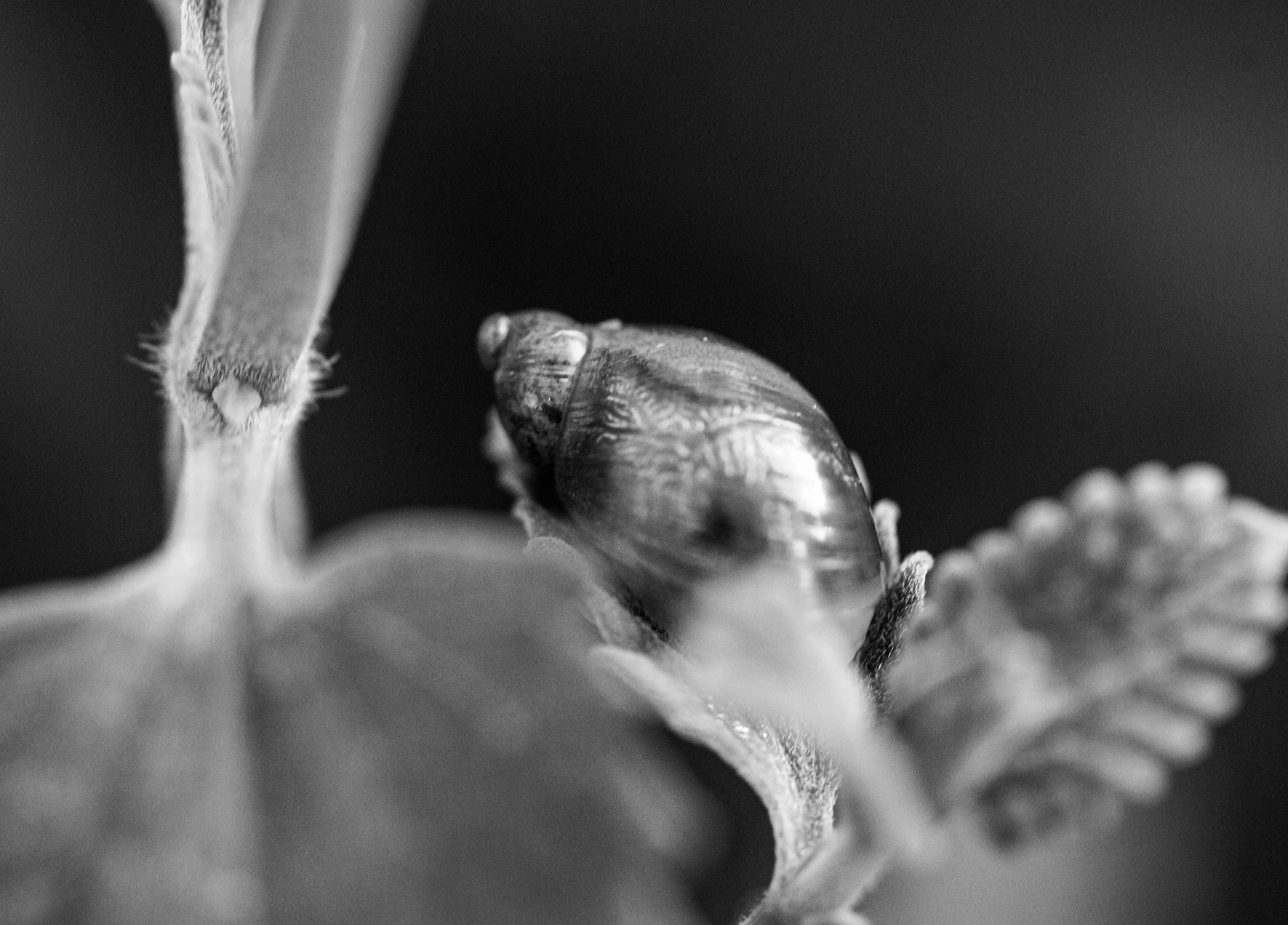 Photo by stellavanhowe