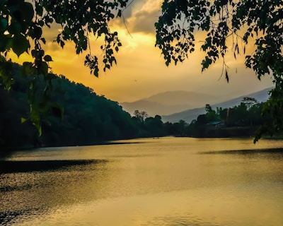 A serene river flowing gently through a lush green forest at sunset, reflecting golden hues.