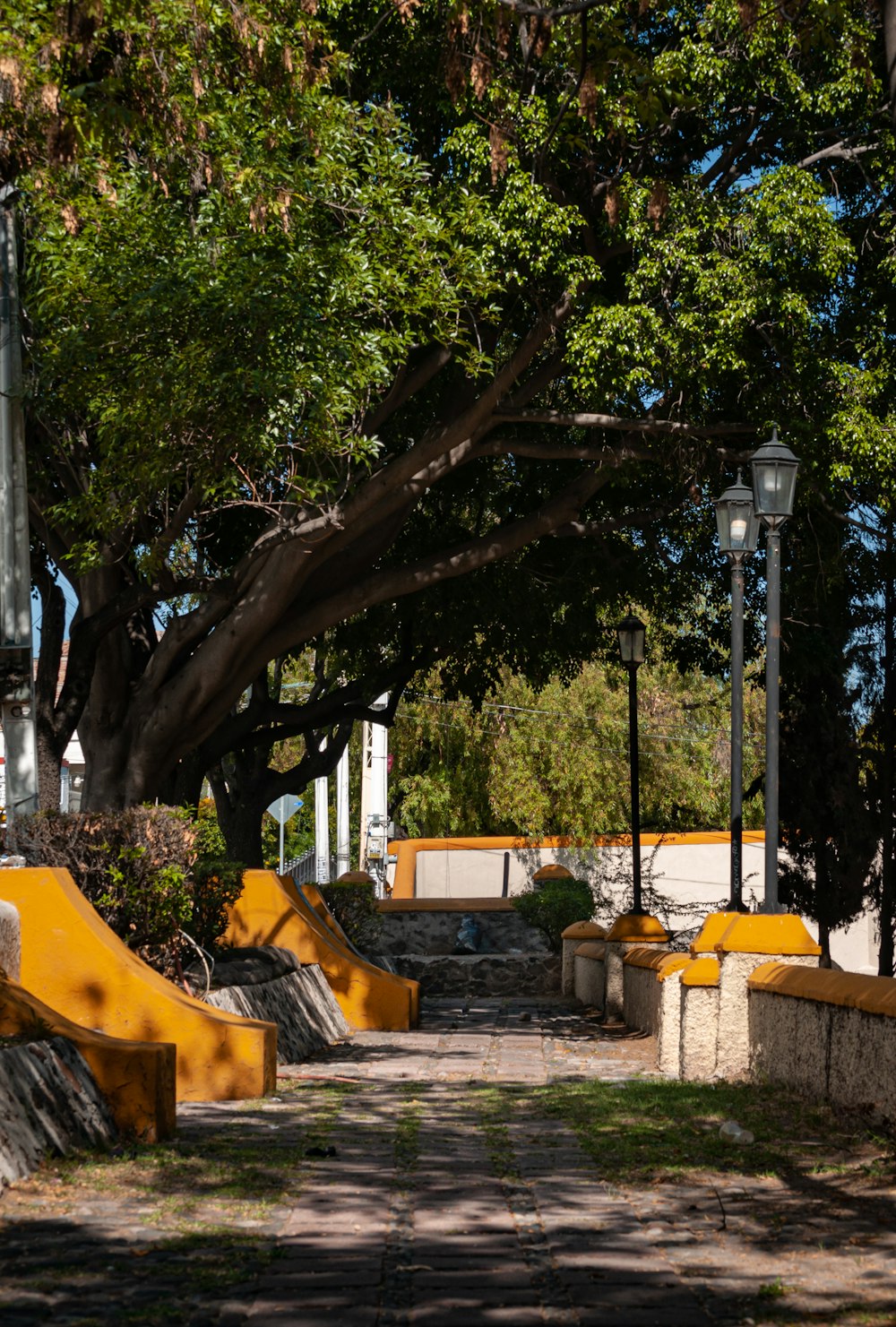 a couple of benches sitting next to a tree