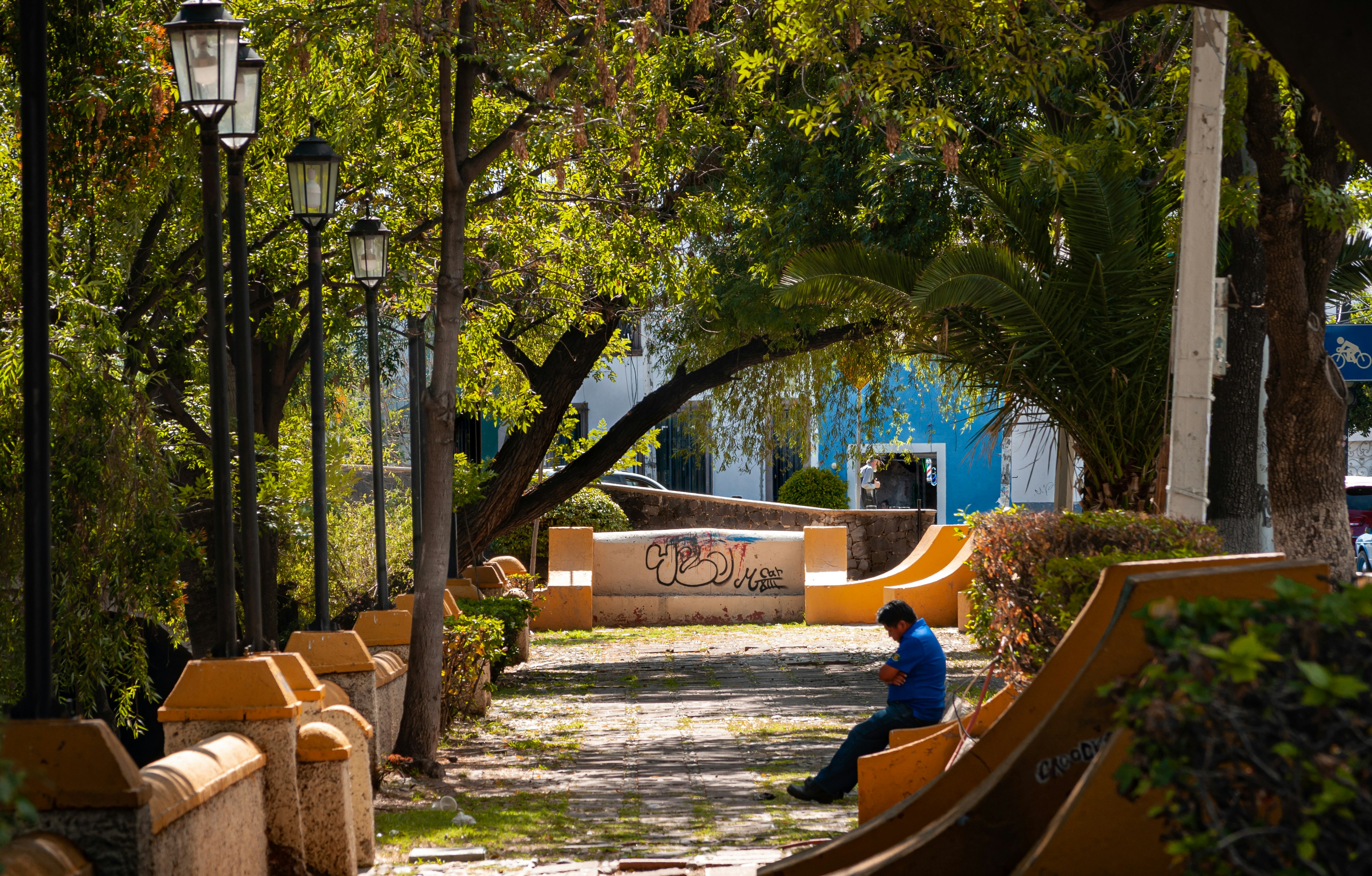 a person sitting on a bench in a park