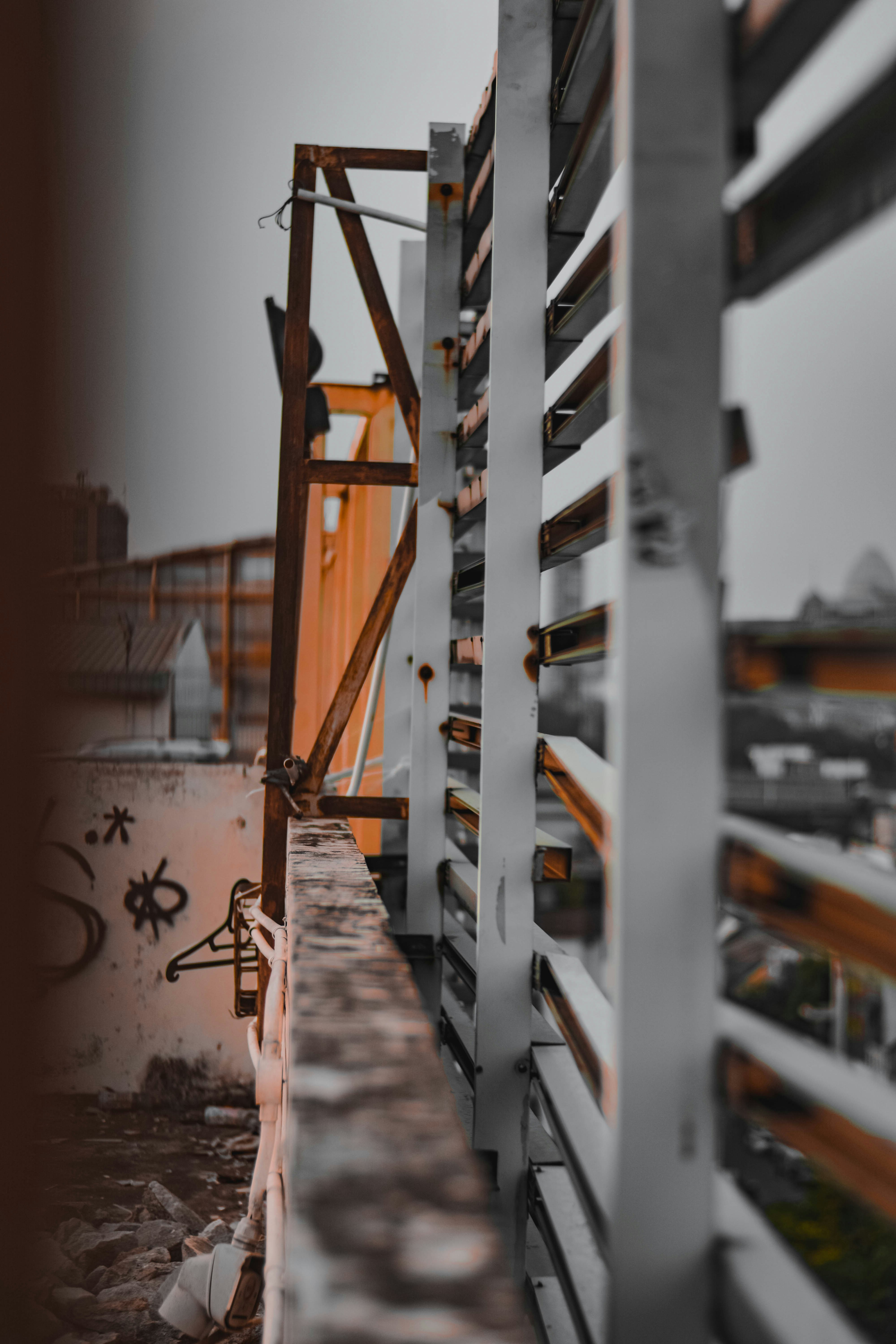 Photo by syahrilfdilla_id