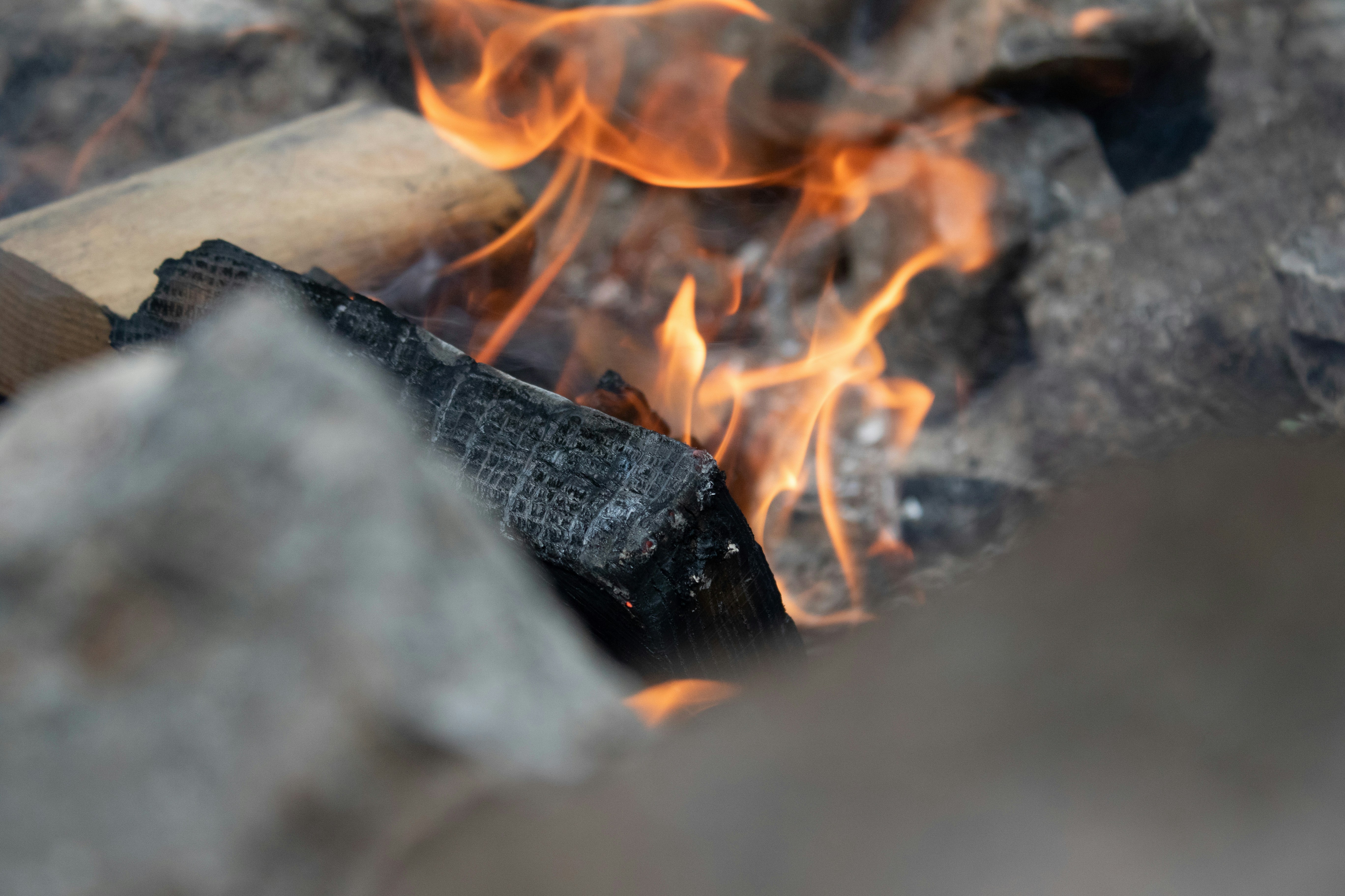 Photo by dcanadianphotographer