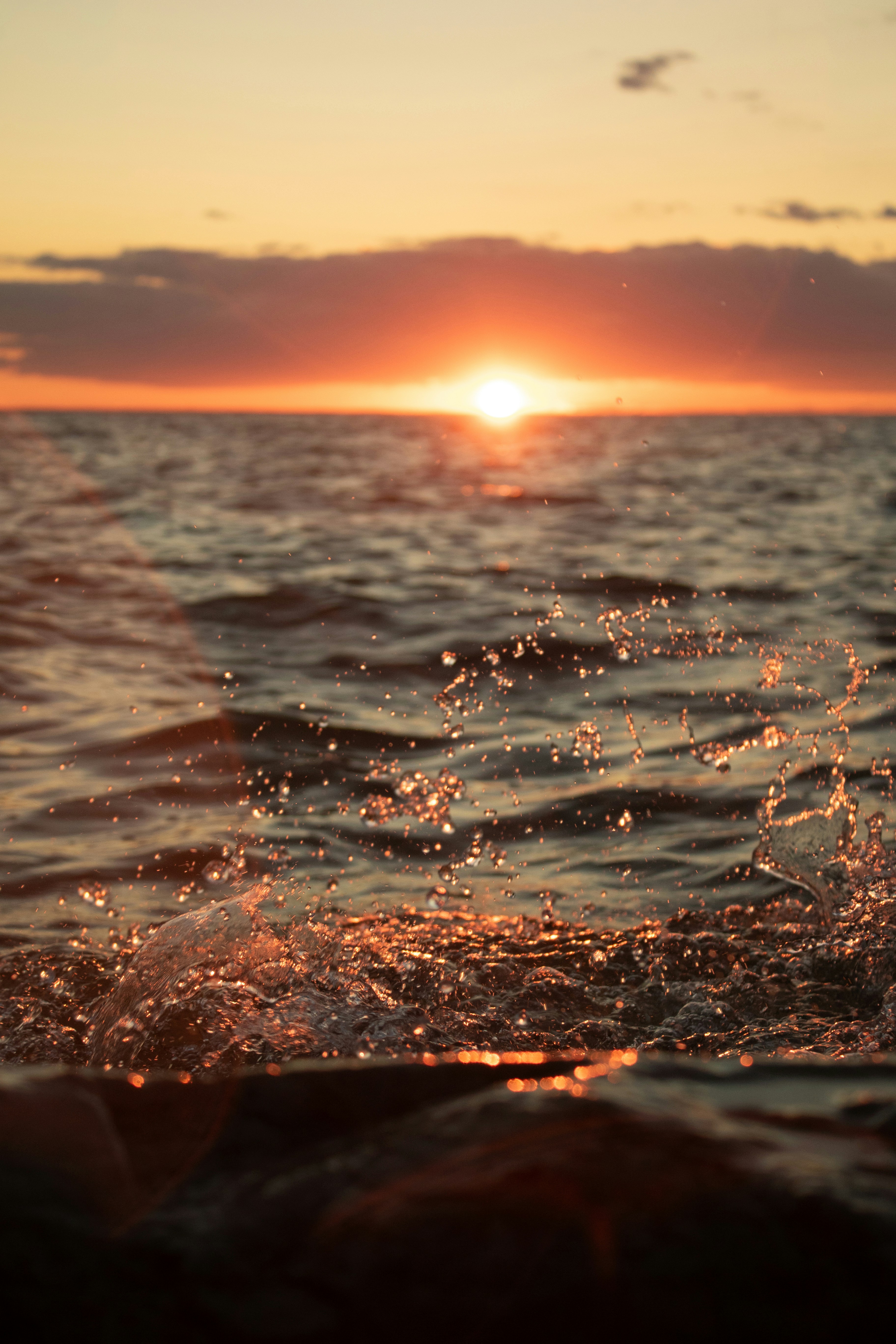 Photo by dcanadianphotographer