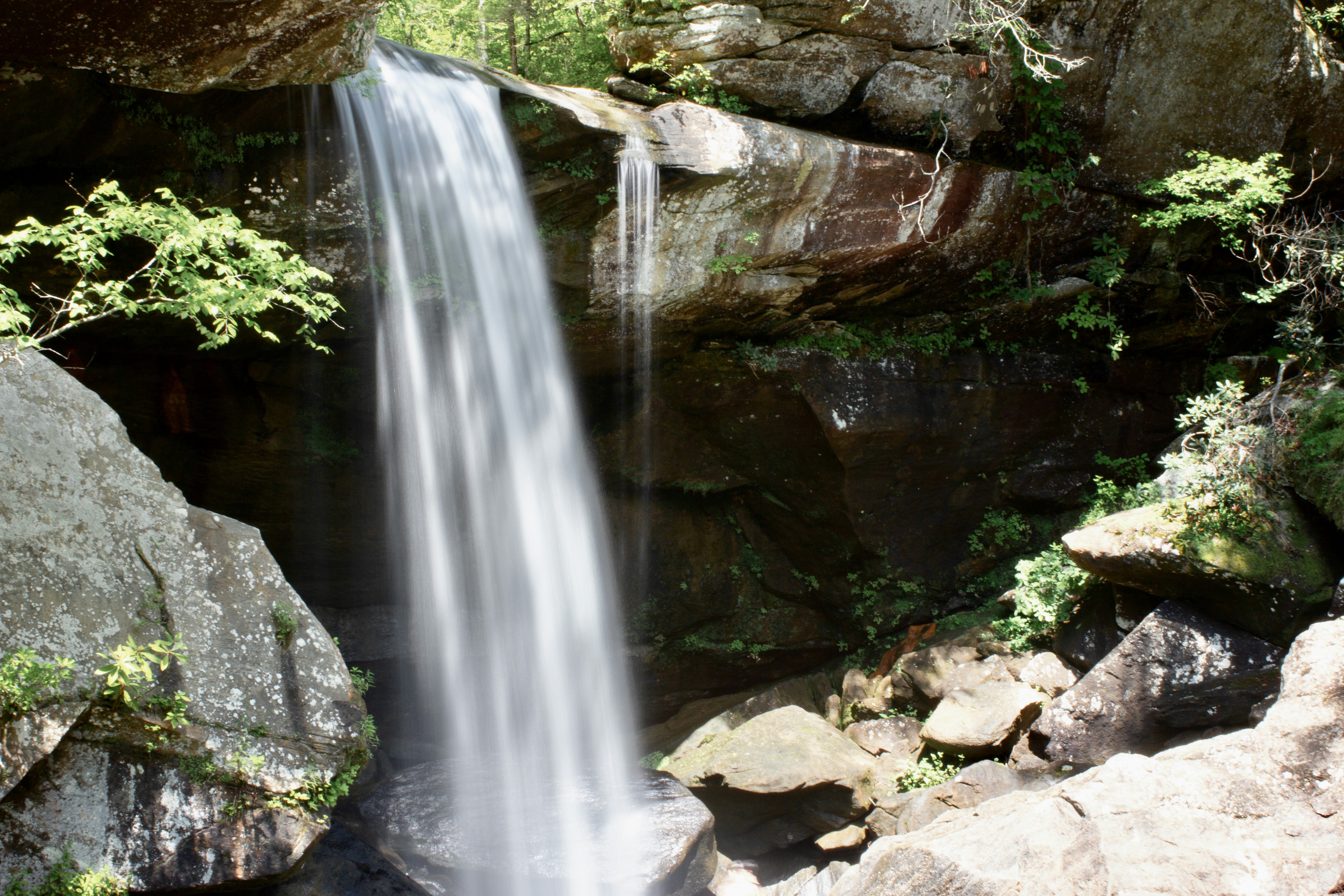 Photo by dcanadianphotographer