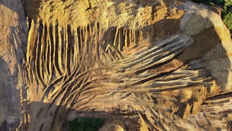 Aerial view of a construction or mining site with numerous parallel and intersecting tire tracks forming a pattern on the dusty surface. The ground is predominantly brown with shadowed areas, showing signs of heavy vehicle activity. Sparse greenery appears on the edges, contrasting with the earth tones.