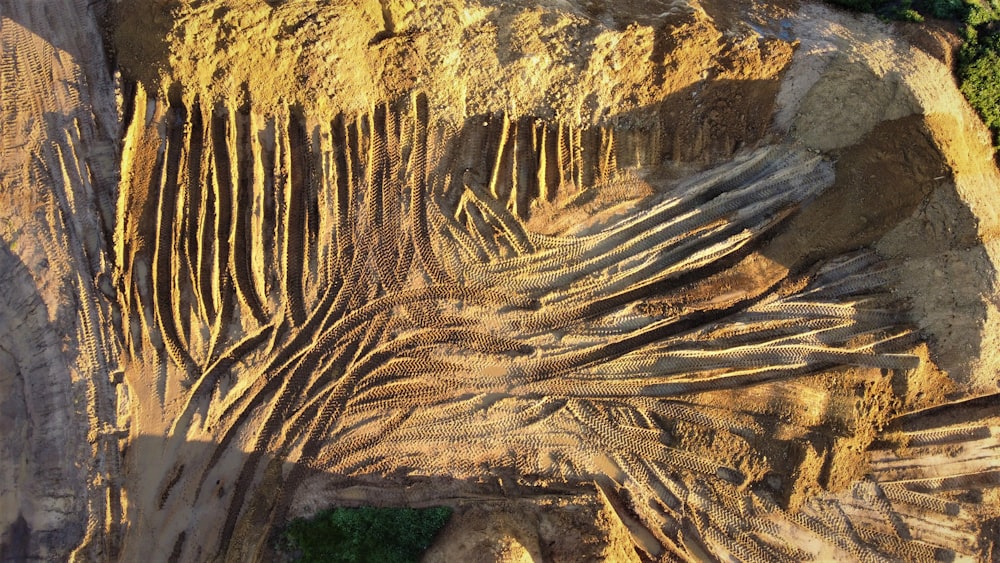 an aerial view of a tree trunk formation