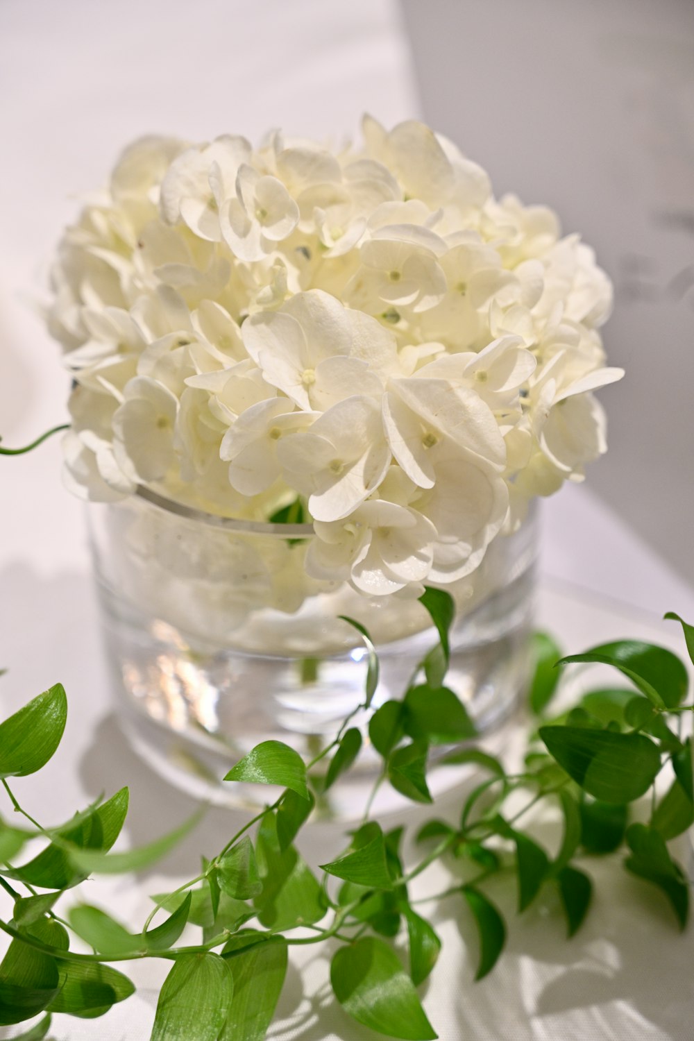 a vase filled with white flowers on top of a table