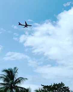 Airplane flying over a tropical coastline with clear blue skies.