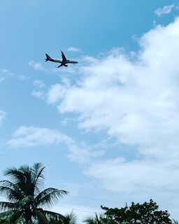 An airplane is flying in a clear sky with some scattered clouds. Palm trees are visible in the foreground, adding a tropical touch to the scene.
