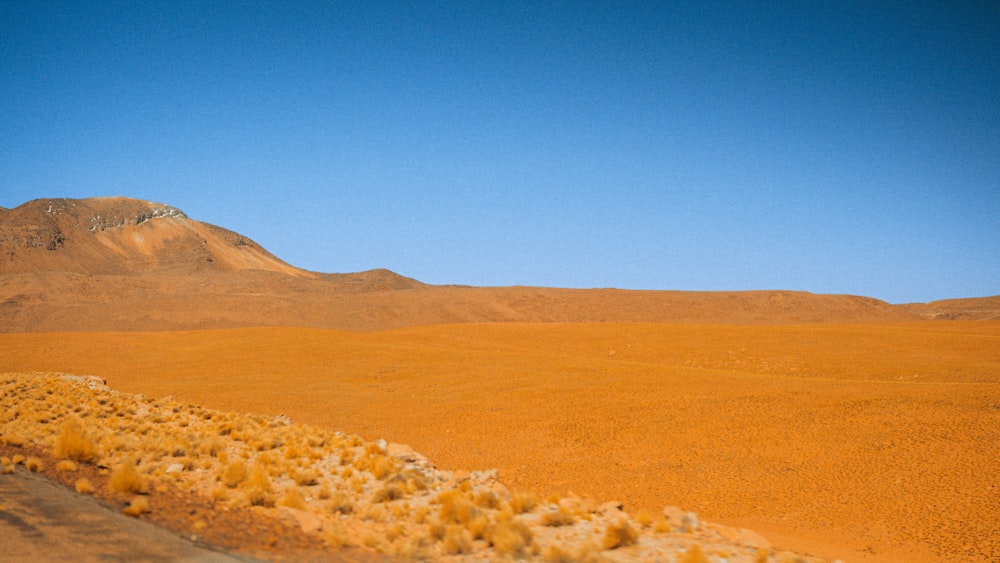 a man riding a skateboard down a dirt road