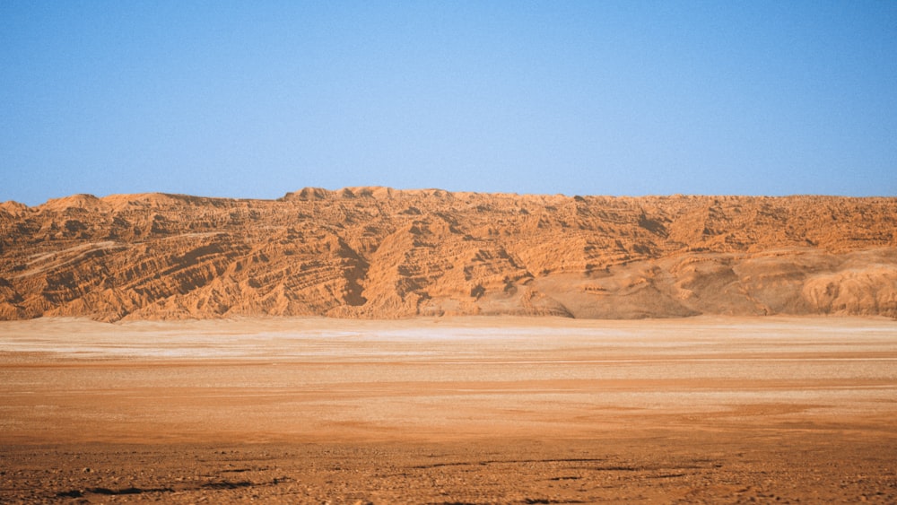 a horse standing in the middle of a desert