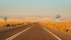 A long, straight road extends into the distance under a clear blue sky, flanked by desert landscapes. Road signs are visible on the right, one of which reads 'Fin Restriccion'. The terrain is flat with distant mountains on the horizon, and the light suggests a warm, sunny climate.
