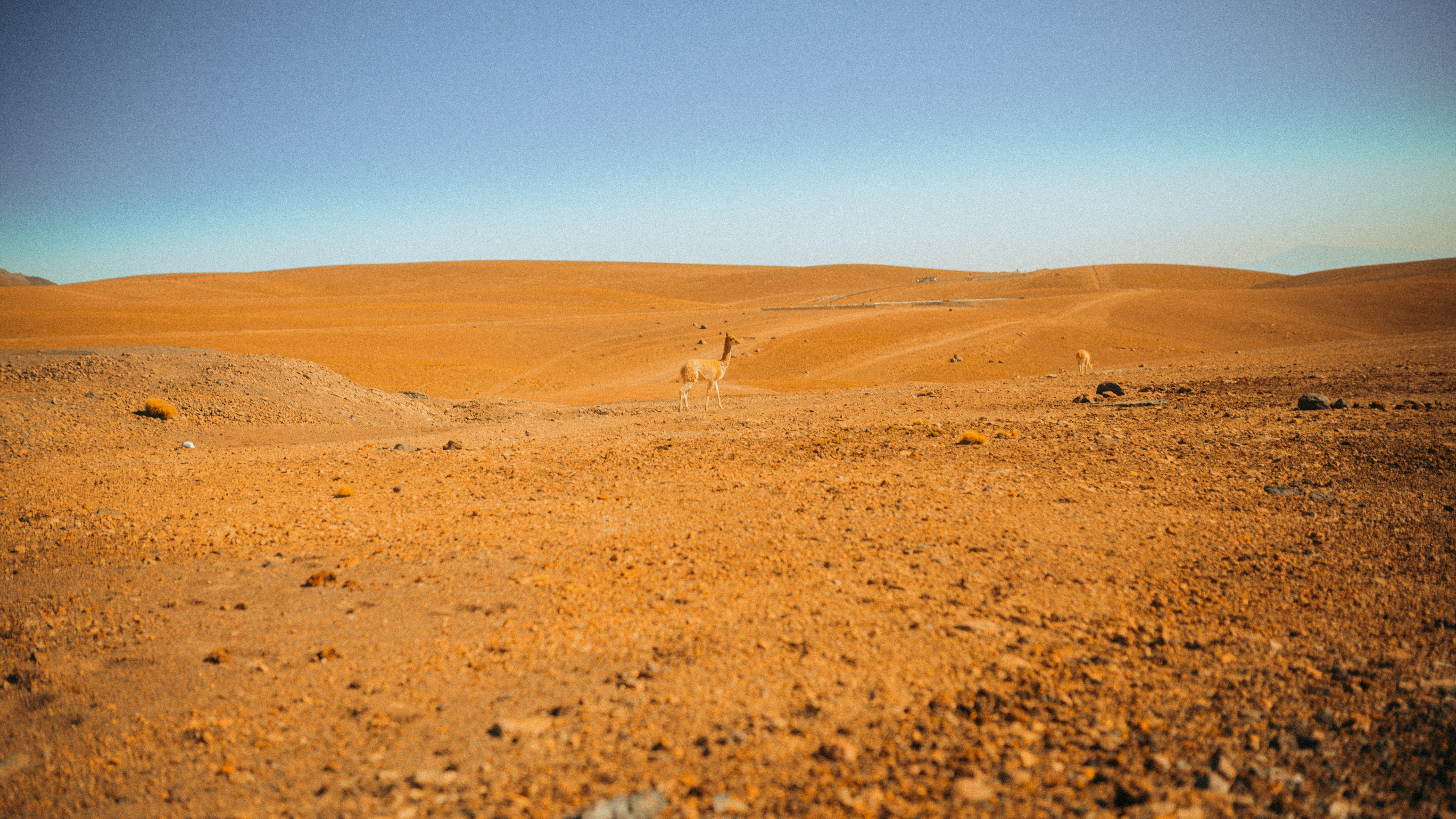 Photo by laerciomilani