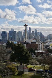 A scenic view of Seattle's skyline alongside Daejeon's modern architecture.