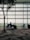 A person sits in an airport terminal next to a large travel bag, with a modern patterned carpet and a silhouetted tree nearby. The seating area is well-lit by natural light through large glass windows, offering a view of an airfield in the distance.