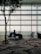A person sits in an airport terminal next to a large travel bag, with a modern patterned carpet and a silhouetted tree nearby. The seating area is well-lit by natural light through large glass windows, offering a view of an airfield in the distance.
