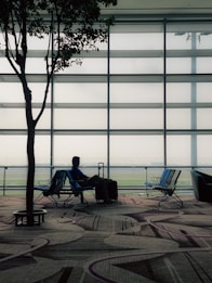 A person sits in an airport terminal next to a large travel bag, with a modern patterned carpet and a silhouetted tree nearby. The seating area is well-lit by natural light through large glass windows, offering a view of an airfield in the distance.