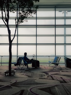 A person sits in an airport terminal next to a large travel bag, with a modern patterned carpet and a silhouetted tree nearby. The seating area is well-lit by natural light through large glass windows, offering a view of an airfield in the distance.