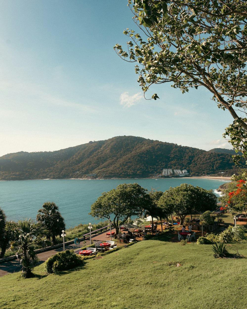 a scenic view of a body of water from a hill